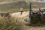 Gavel-109