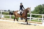 Class 6: Unaffiliated Novice 3 2024 Section A portfolio
