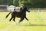 SBM_00417