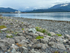 Seward-38