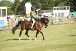 SBM_09753