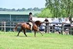 SBM_13876