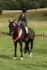 AMB_0804