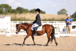 SBM_03517