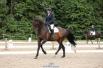 135-Anne_Shrubshall-Hfradin portfolio