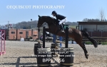 BPP_7456