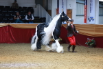 SBM_23223