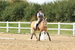 SBM_001116