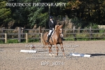 BPP_8074