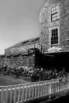 old sculpin gallery b&w