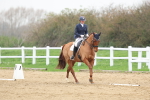 SBM_007656