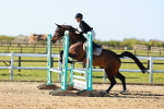 SBM_000590
