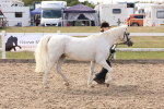 SBM_15064
