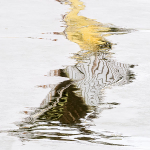 FEBRUARY THAW, 2016 - PORT ROWAN MARINA