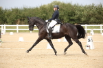 SBM_020404