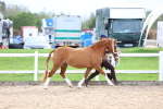 SBM_05834