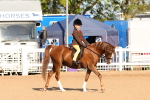 SBM_08277