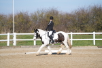 SBM_002005