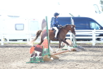 SBM_09089