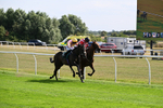 260826-Race 3-Battenburg Belle-2634