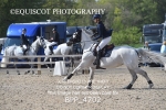 BPP_4702