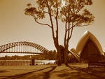 Sydney, New South Wales