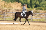 SBM_000182