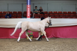SBM_17402