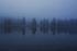 Yellowstone River Morning Mist 12 x 18