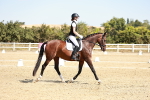 SBM_017477