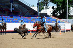 3HRodeo8-11-25_PRCASteer_04543_