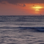 Landscape-056