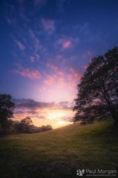 A New Day Will Come