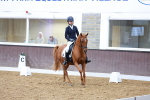SBM_005017