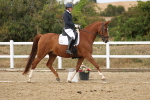 SBM_011850