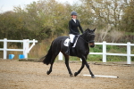 SBM_000295