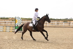SBM_001215