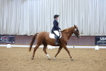SBM_001351