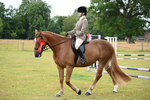 WJ6_8632