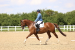SBM_001994