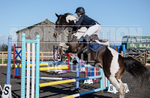 Senior Showjumping_10-11-2019-58