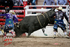 3HRodeo_CFD_JUL_19_2026_03880
