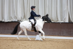 SBM_002910