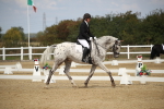 SBM_001401