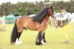 SBM_06042