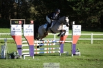 619-GARVAGH.GOLDEN.OAK-Ella.Snow-TrotUp+SJ portfolio
