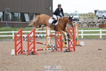Cls 6 Foxhunter and 1.20m Open portfolio