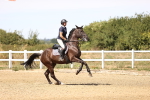 SBM_000937