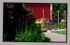 Eija's Garden 4