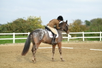LAD_5508
